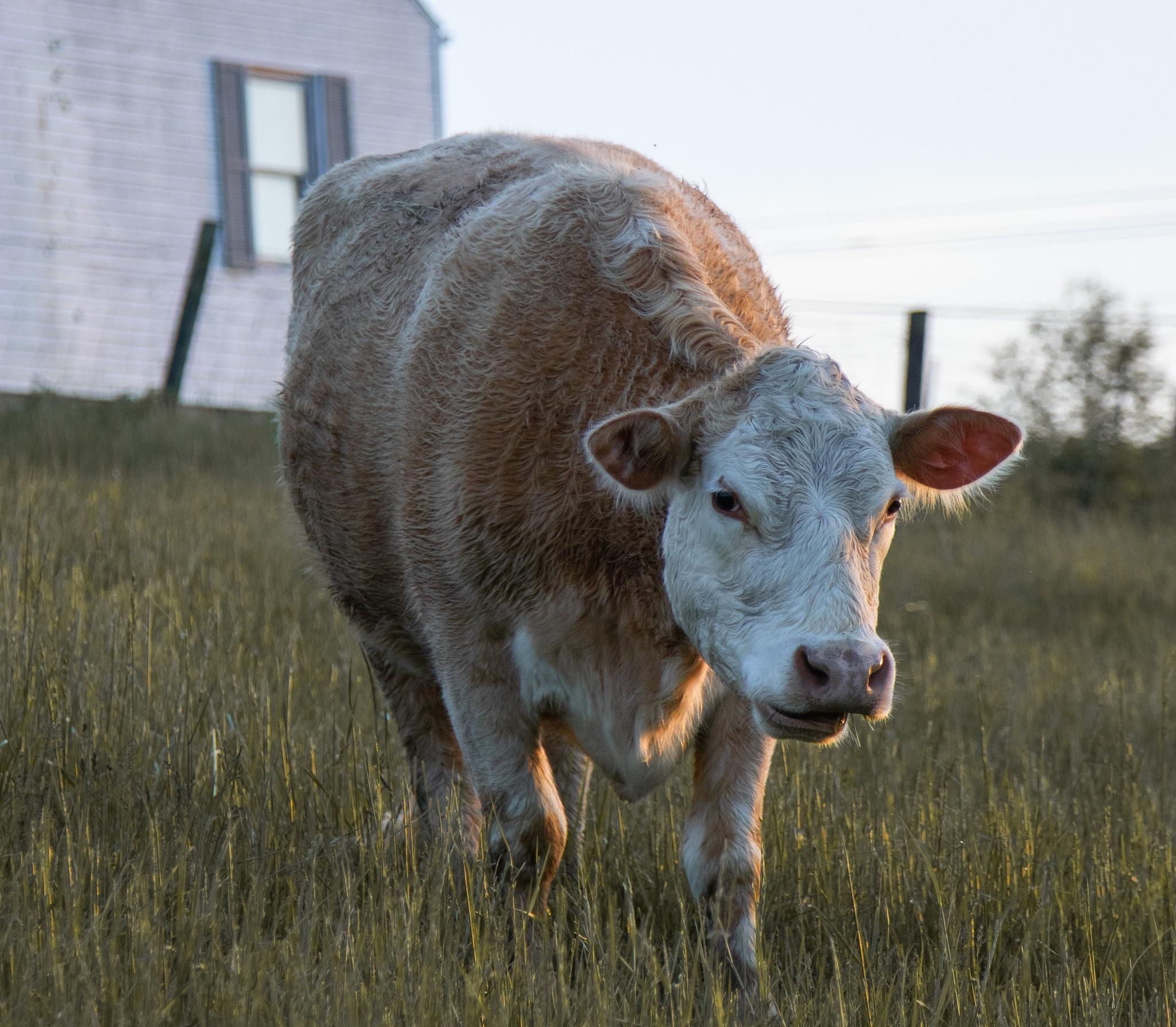 carousel-hero-element image-3